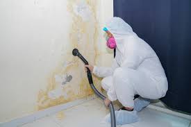 Trusted Graham, TX Mold Prevention & Removal  Experts